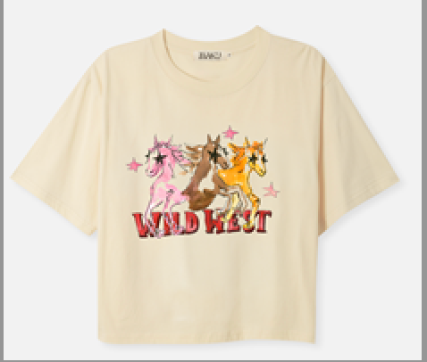 Wild West Boxy Crop Tee