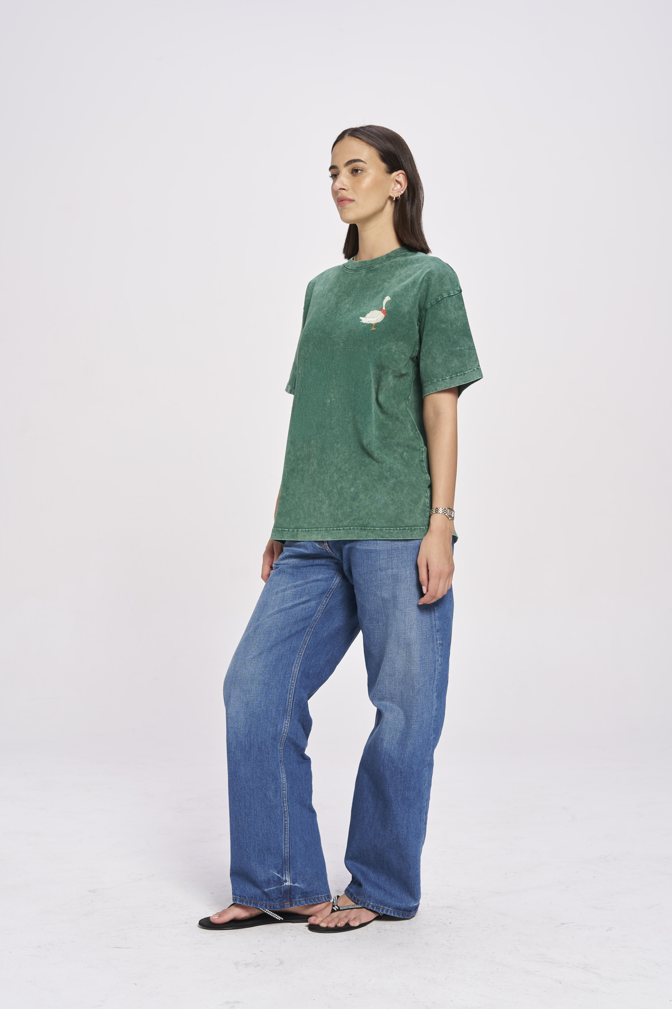 Don't Be A Goose Oversize Wash Tee